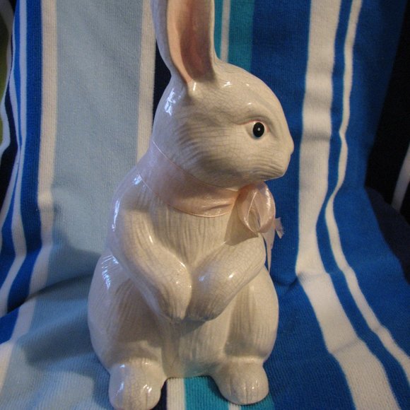 Bunny Rabbit - Picture 3 of 6